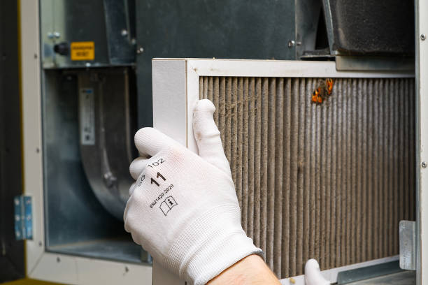 Best Ductwork Cleaning Services  in Terry, MS