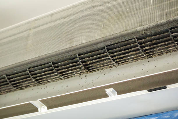 Best Affordable Air Duct Cleaning  in Terry, MS