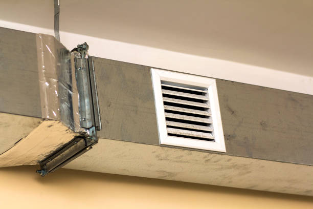 Best Ventilation Cleaning Services  in Terry, MS